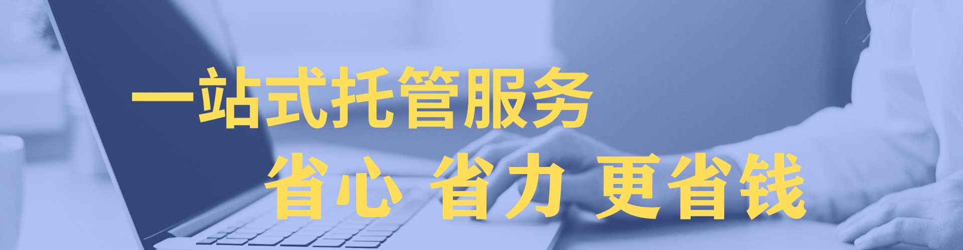 城区sem主管